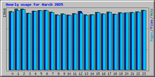 Hourly usage for March 2025