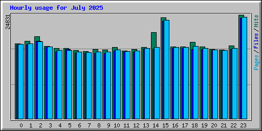 Hourly usage for July 2025